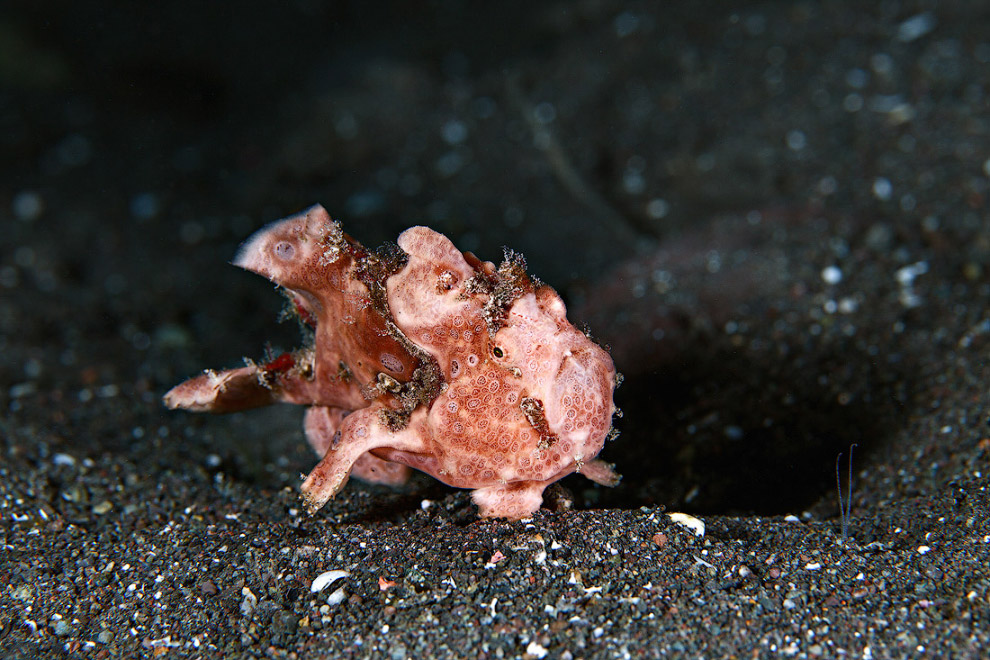 Другая реальность