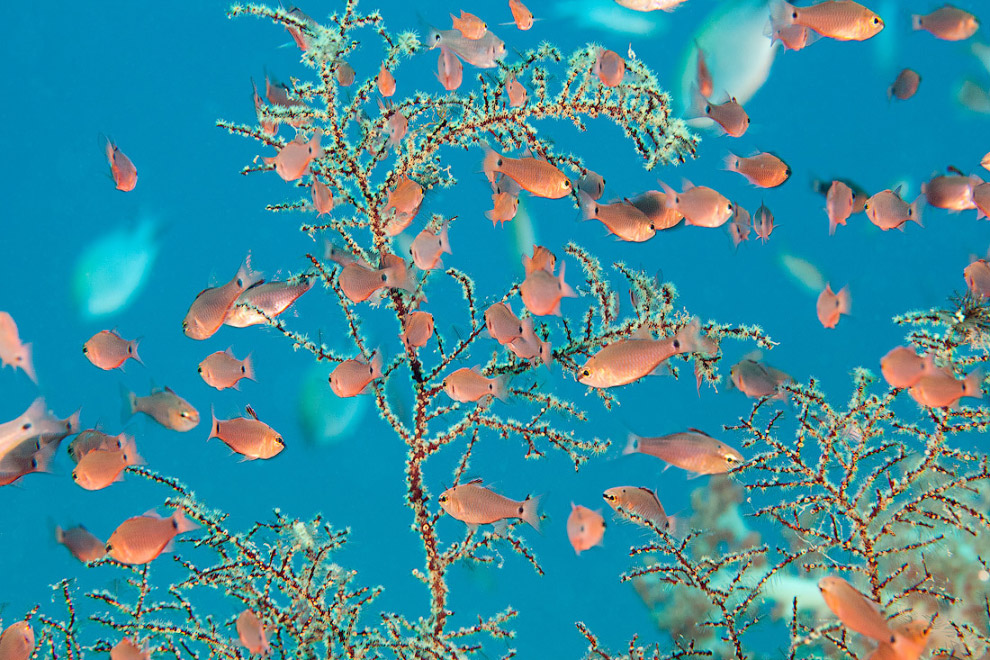 Другая реальность