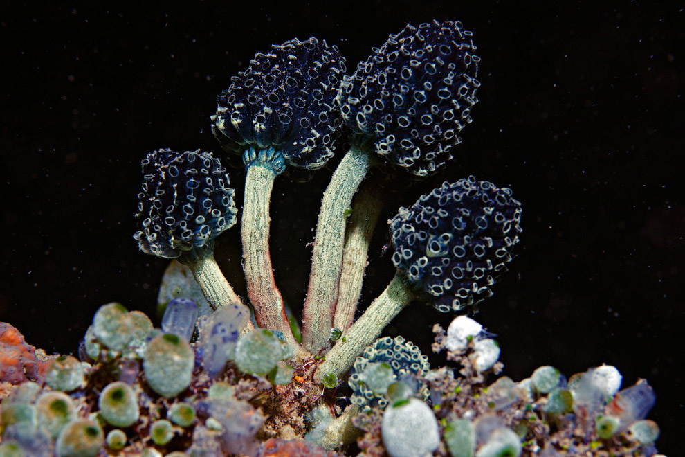 Другая реальность