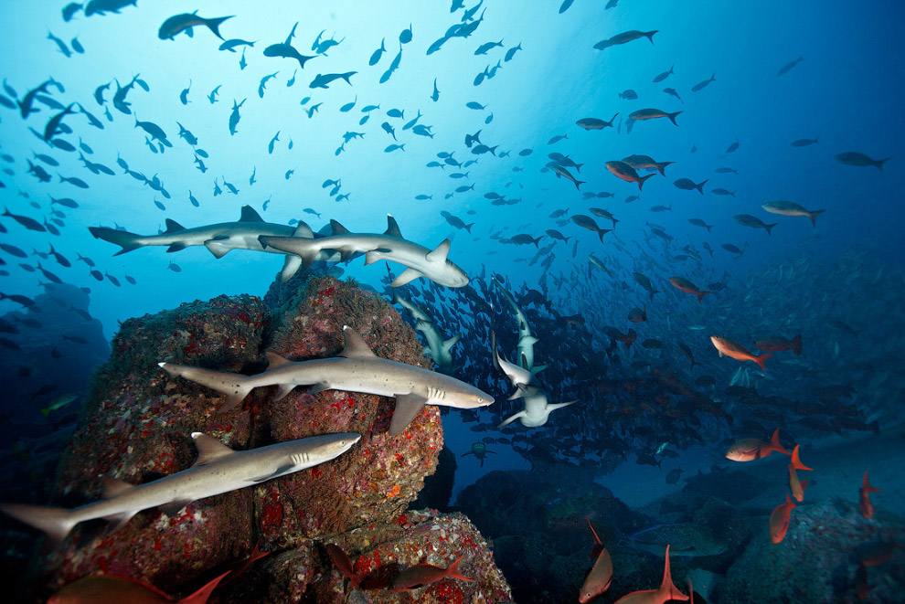 Другая реальность