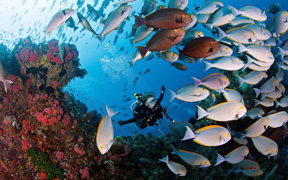 Другая реальность