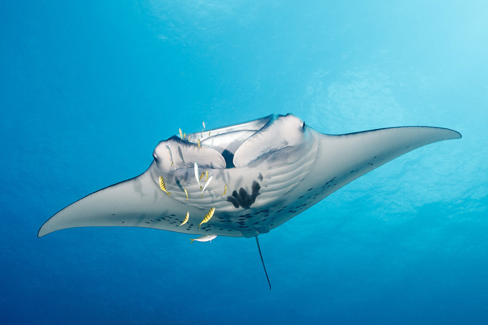 Другая реальность