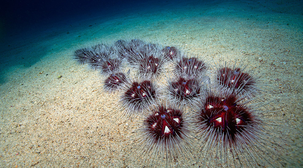 Другая реальность