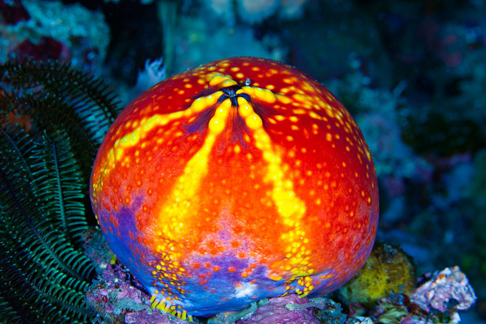 Другая реальность