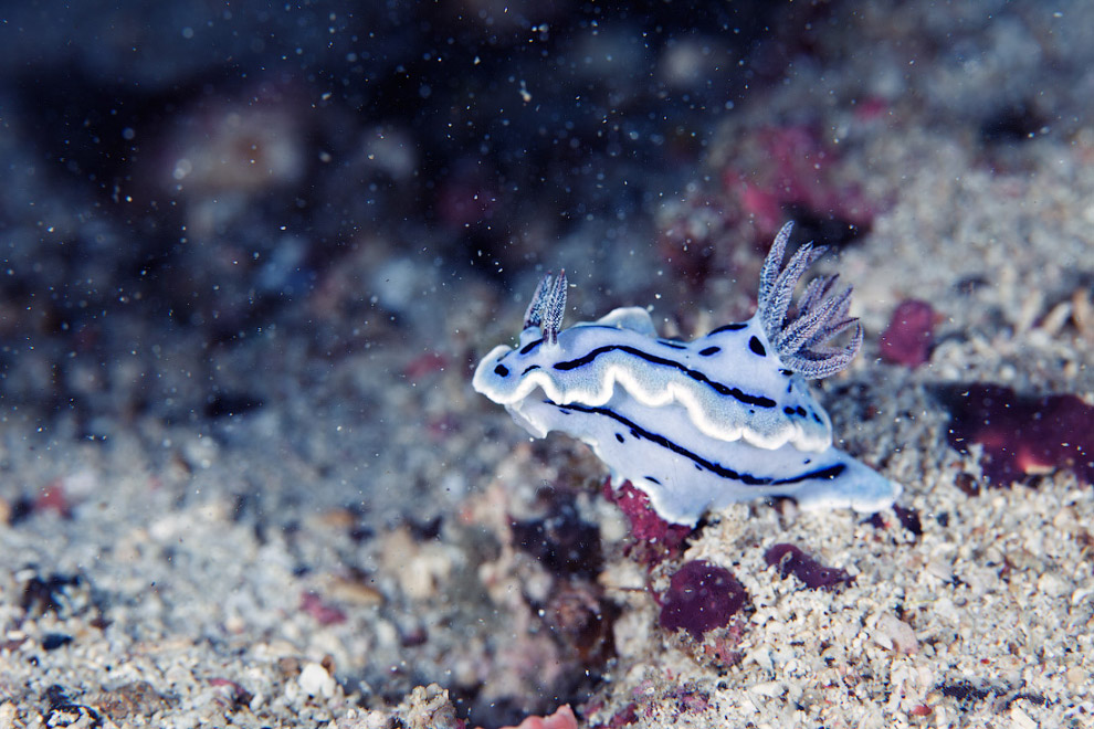 Другая реальность