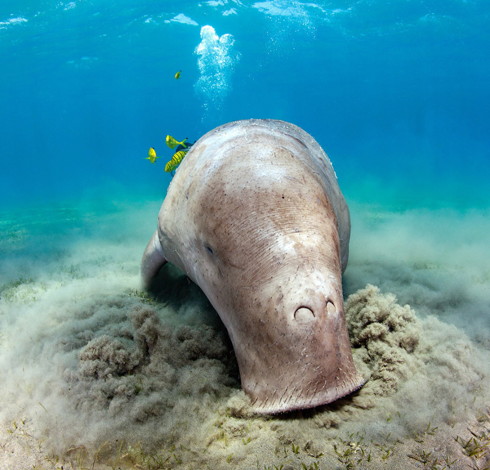 Другая реальность