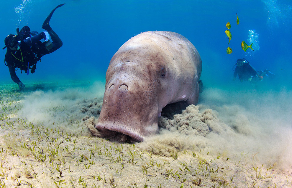 Другая реальность