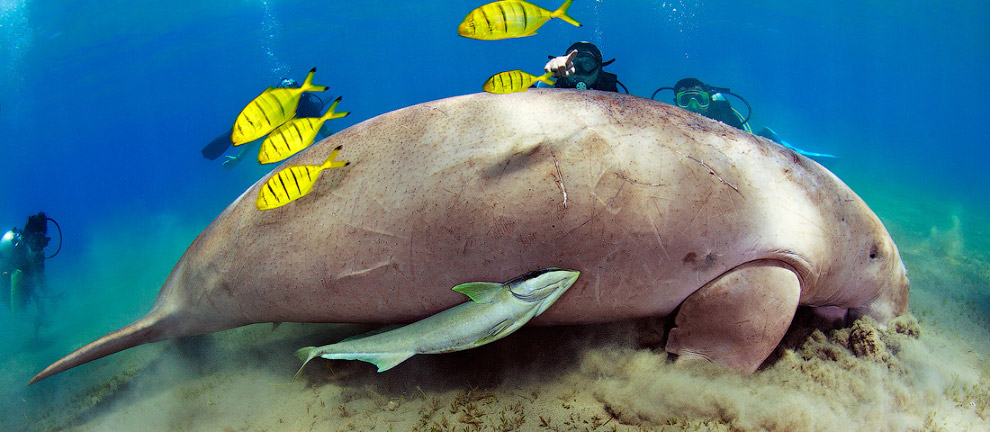 Другая реальность