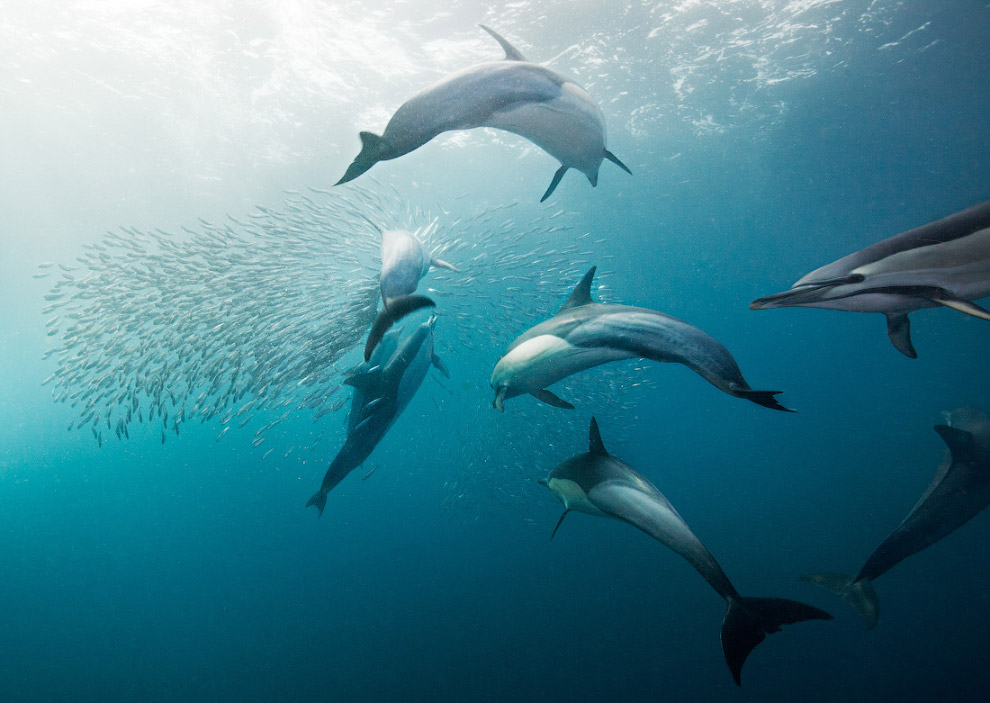 Другая реальность