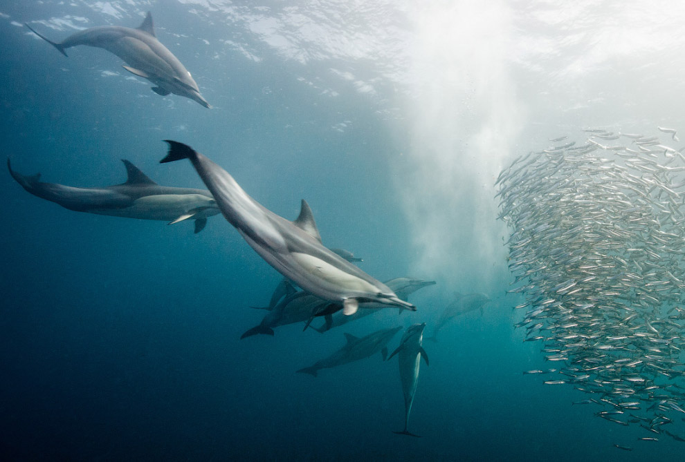Другая реальность