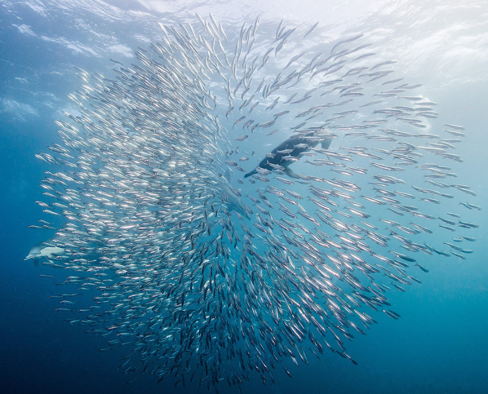 Другая реальность