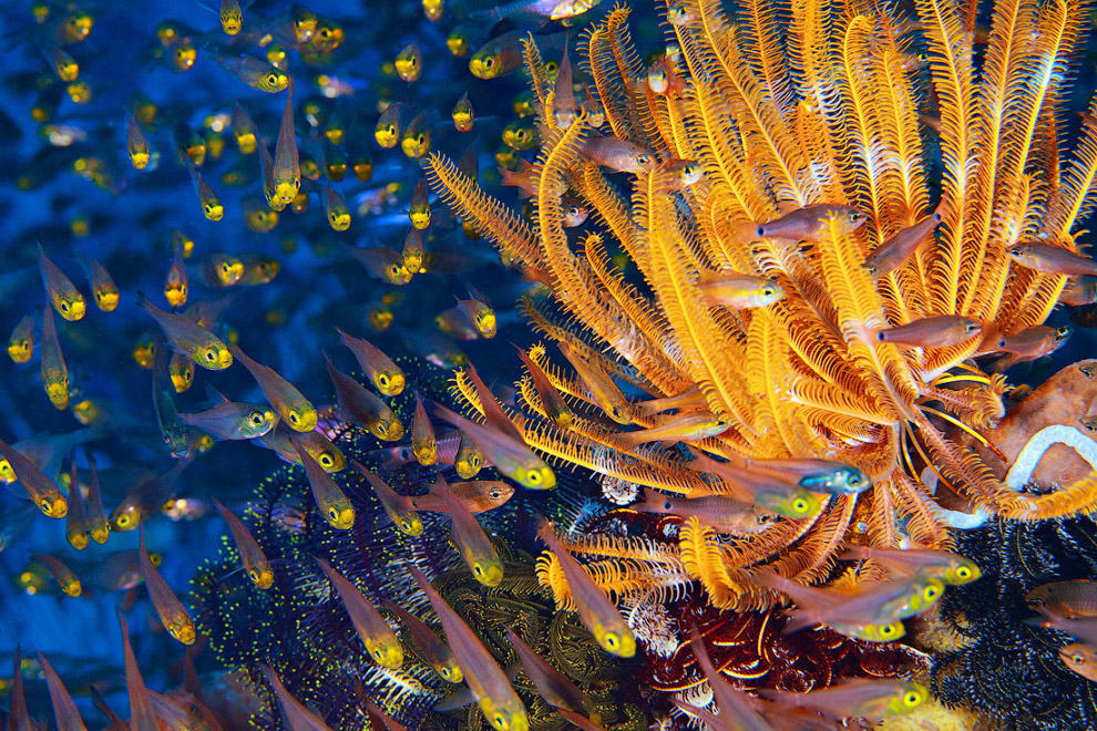 Другая реальность