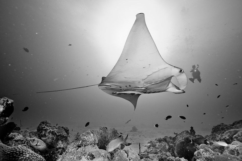 Другая реальность