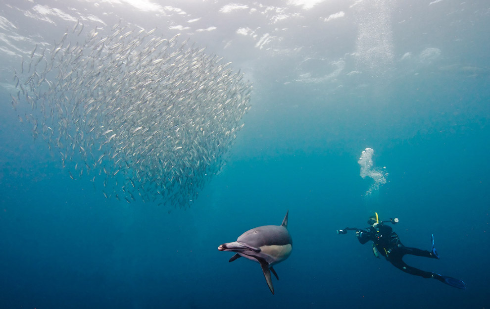 Другая реальность