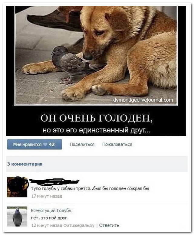 Смешные комментарии из социальных сетей