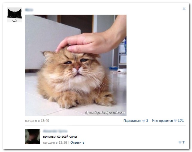 Смешные комментарии из социальных сетей
