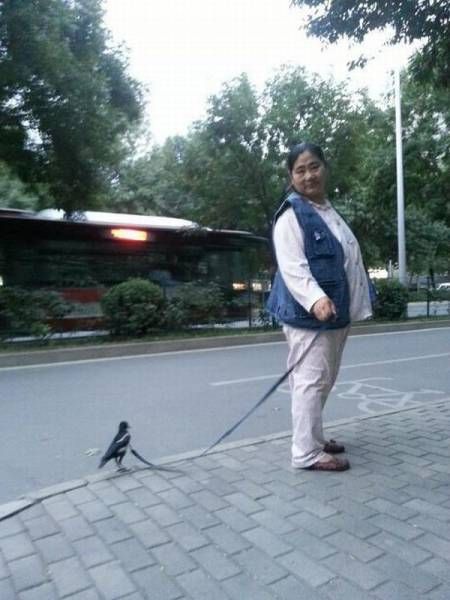 Прикольные картикни