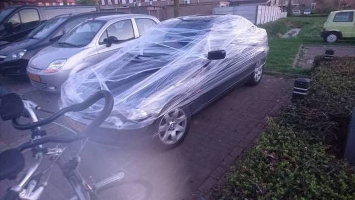 Прикольные картикни