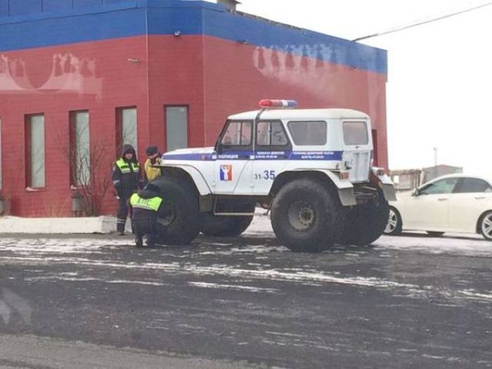 Прикольные картикни