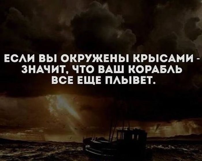 Прикольные картикни