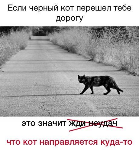 Прикольные картикни