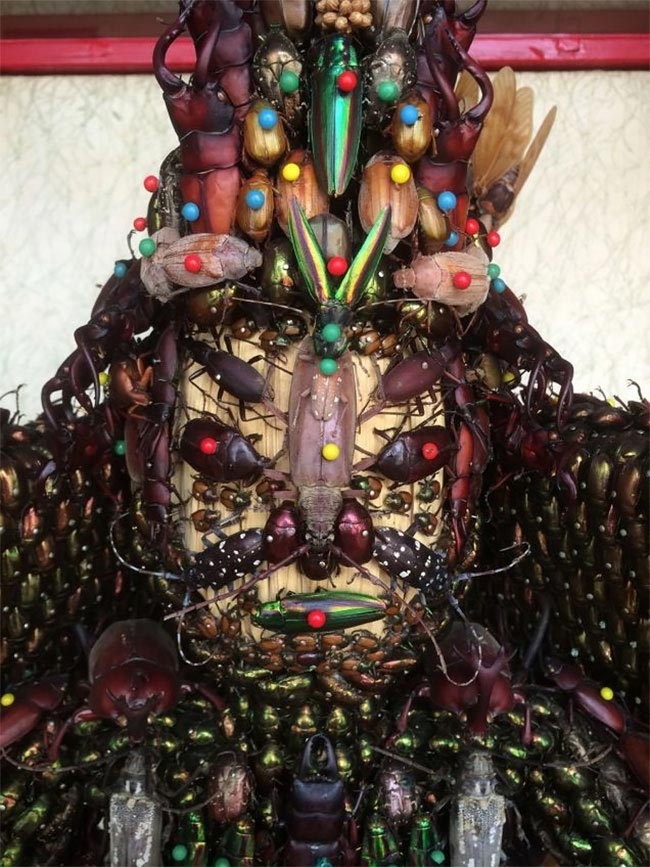 Невероятные японские статуи, сделанные из тысяч мёртвых жуков