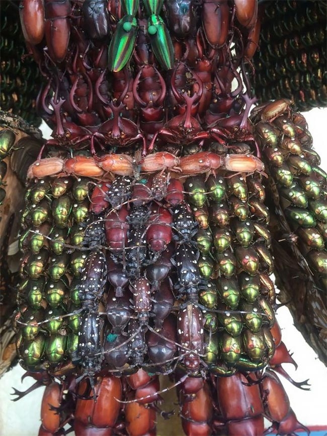 Невероятные японские статуи, сделанные из тысяч мёртвых жуков