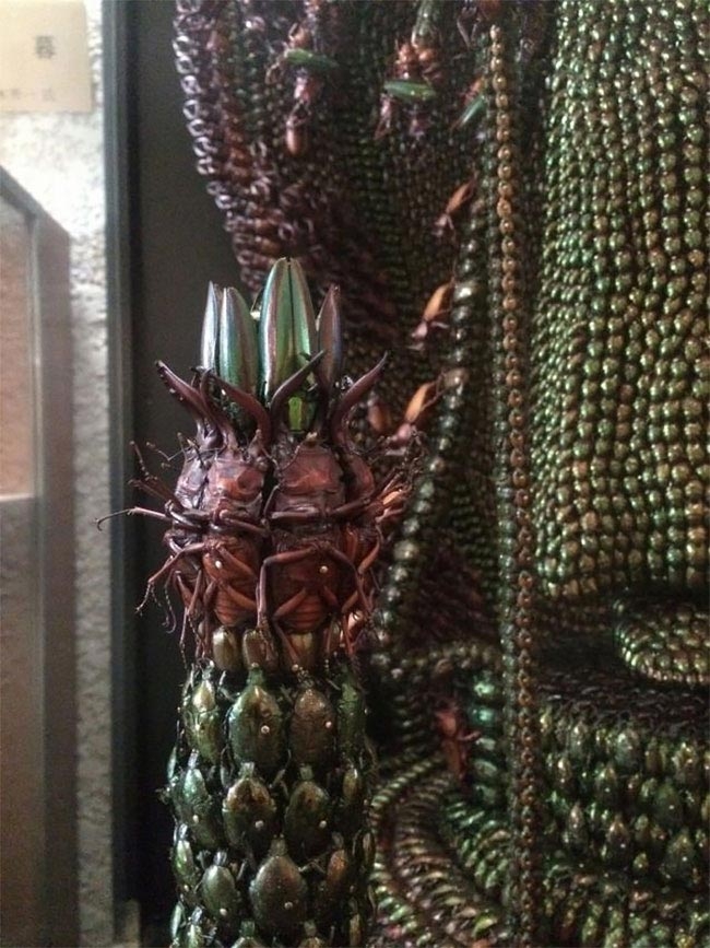 Невероятные японские статуи, сделанные из тысяч мёртвых жуков