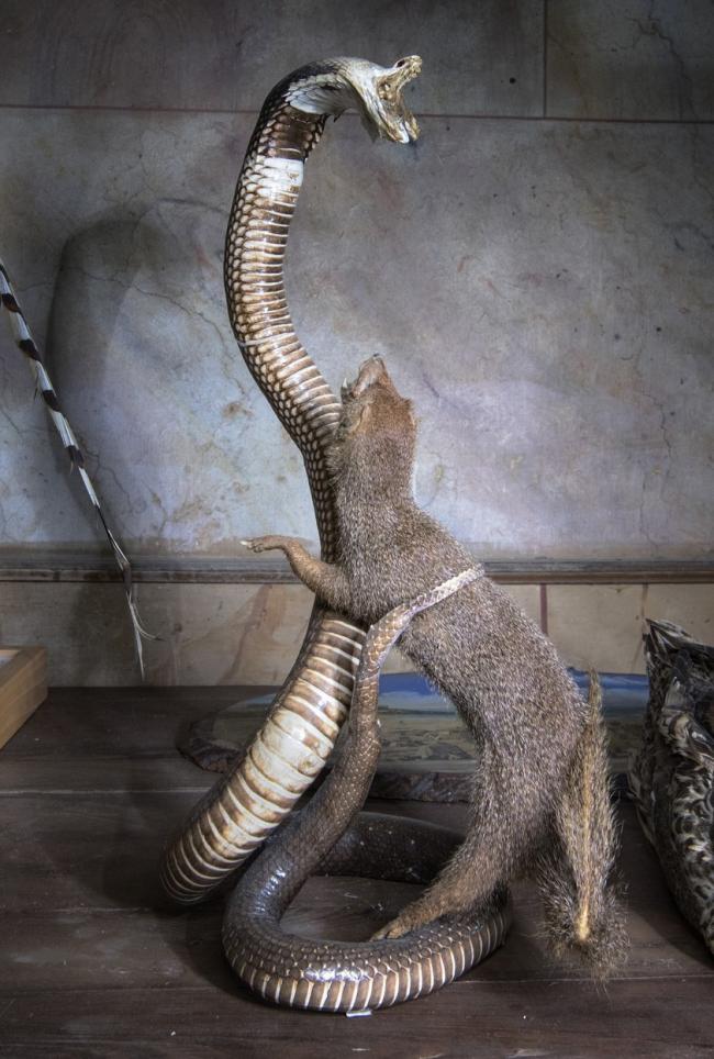 Прогулка по заброшенному дому во Франции