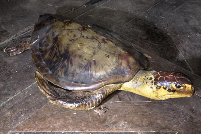 Прогулка по заброшенному дому во Франции