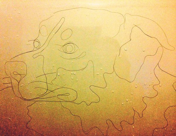 Художница создает рисунки из волос, оставшихся после душа