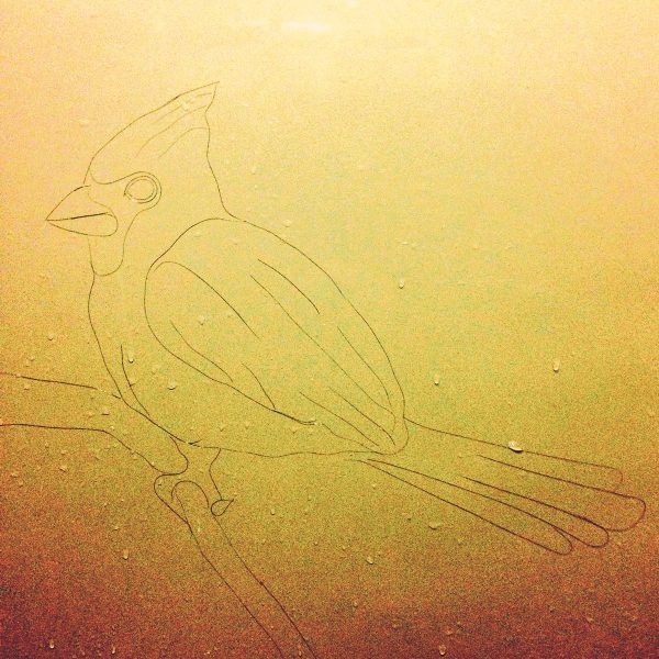 Художница создает рисунки из волос, оставшихся после душа