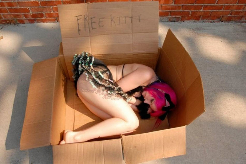 Вестник социальных сетей