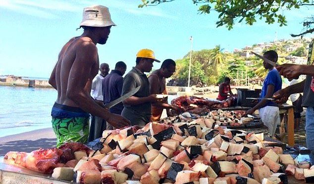 Карибские рыбаки разделали на глазах туристов двух убитых косаток