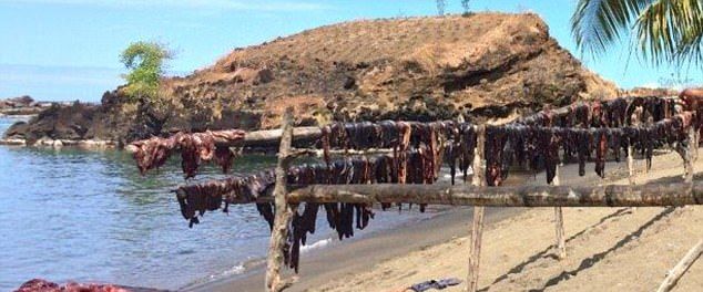 Карибские рыбаки разделали на глазах туристов двух убитых косаток