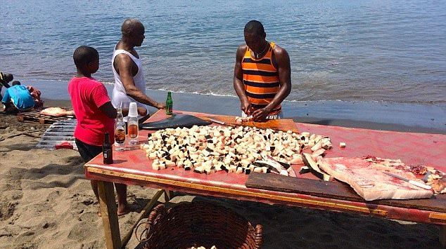 Карибские рыбаки разделали на глазах туристов двух убитых косаток