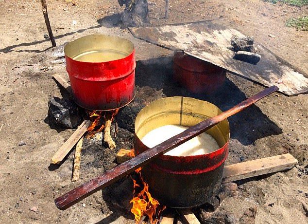 Карибские рыбаки разделали на глазах туристов двух убитых косаток