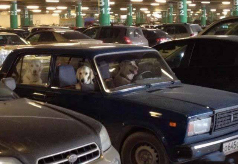 Удивительные снимки с российских просторов