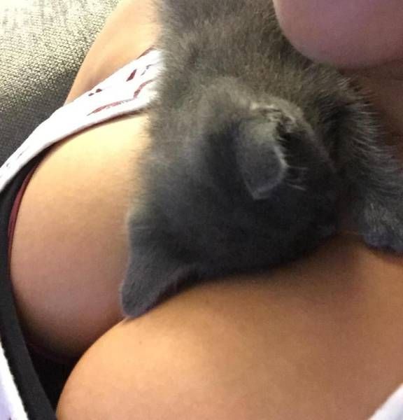 Забавные девушки