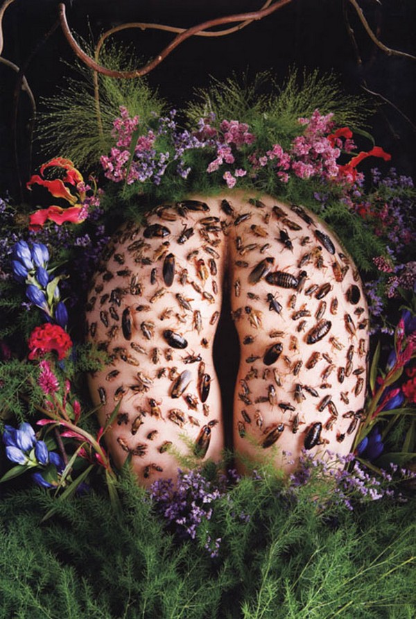 Причудливая эротика