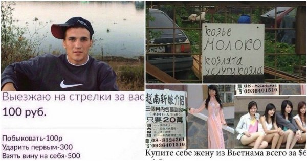 Любой каприз за ваши деньги!