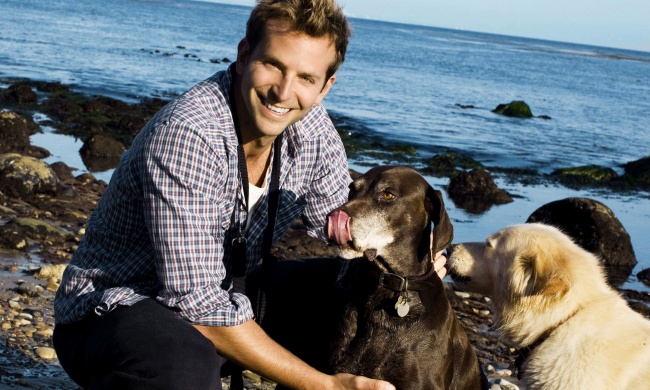 10 добрых историй, которые открывают знаменитостей с новой стороны 10 добрых историй, которые открывают знаменитостей с новой стороны