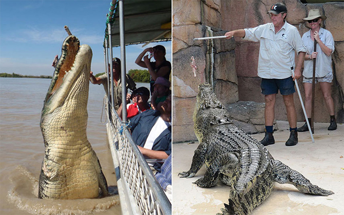 10 смертельно опасных профессий