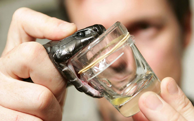 10 смертельно опасных профессий