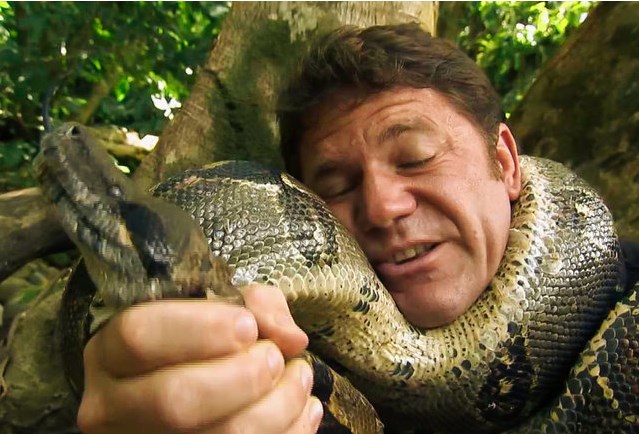 Как спастись при нападении 10 смертельно опасных животных