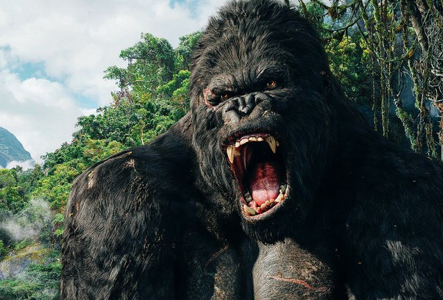 Как спастись при нападении 10 смертельно опасных животных