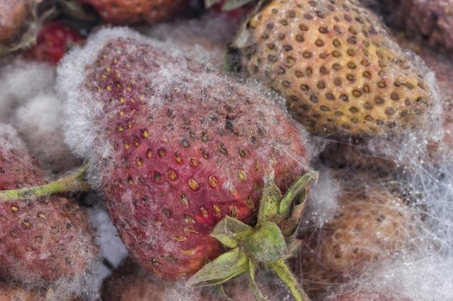 Удивительно, но факт Удивительно, но факт