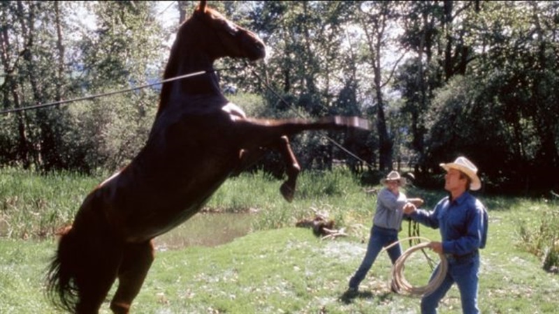 Удивительно, но факт Удивительно, но факт