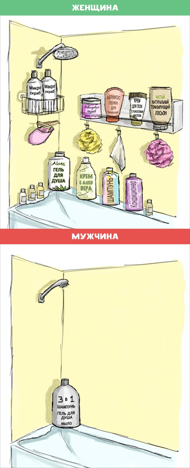 10 отличий женщин от мужчин