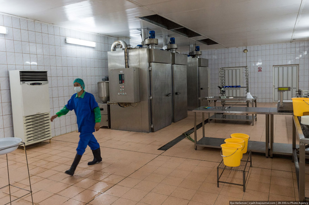 Как производят черную икру